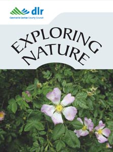 DLR Biodiversiy Events 2016